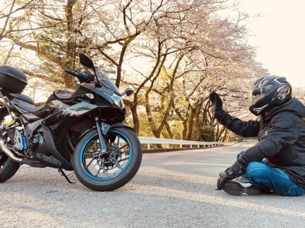 桜の園で相棒とおしゃべり