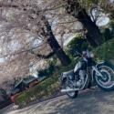 再び乗れたSRと初めての春