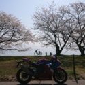 普段通りの風景