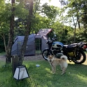 犬とキャンプツーリング