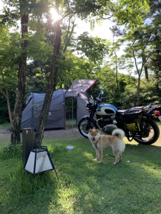 犬とキャンプツーリング