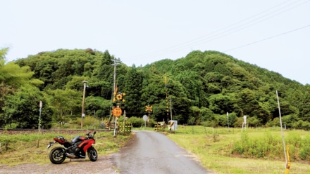 田舎の踏切