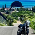 ウージ畑から眺める島
