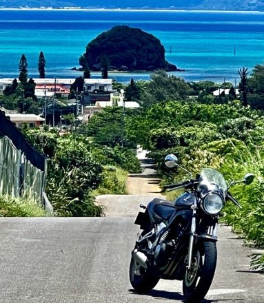 ウージ畑から眺める島