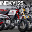 2309MONKEY125