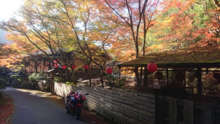 京都川床と紅葉