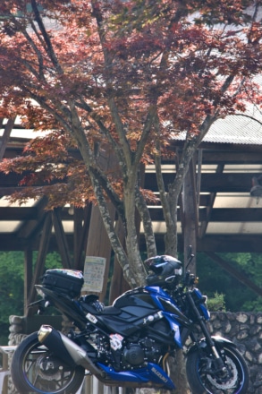 秋深まる吉田元気村