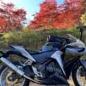 愛車と紅葉