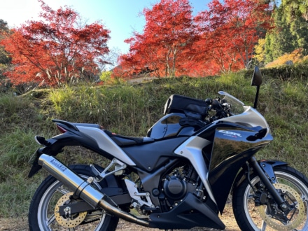 愛車と紅葉