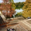 紅葉とカタナのある風景