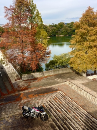 紅葉とカタナのある風景