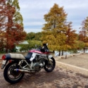 晩秋の紅葉を求めて