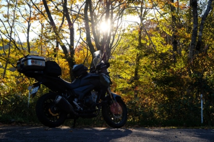 紅葉の天生峠