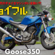 チョイ古06_Goose350