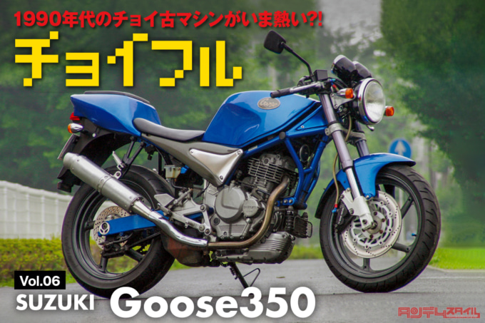 チョイ古06_Goose350