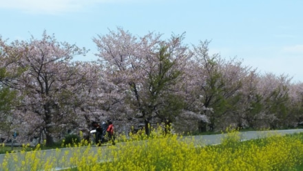 春始まる