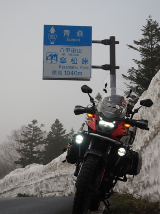 十和田八甲田ゴールドライン雪の回廊
