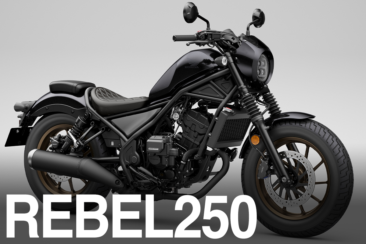 2025年 Rebel 250 E-Clutch レブル250 純正シート 画像 No.19/22