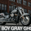 2505TS新車FATBOY