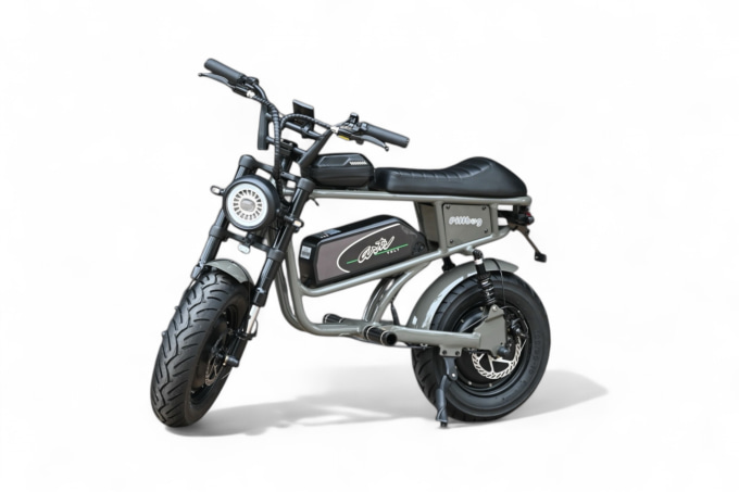 NAPS MOTOFES 2025関東 試乗車 Artsvolt  PILLBUG