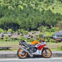 新緑の美山