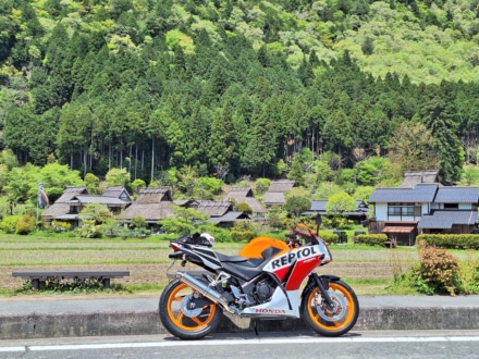 新緑の美山