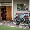 はじめてのバイクにおすすめ！ 通勤・通学、二人乗りもOKの遊べる125cc『ダックス125』は初心者の人も安心です！【原付二種で楽しむホンダのバイク！ ／Honda Dax125 前編】