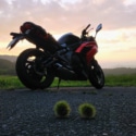いが栗🌰達と