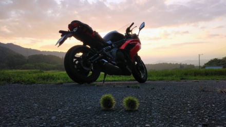 いが栗🌰達と