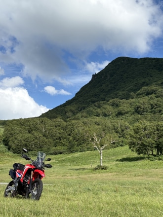 夏の高原