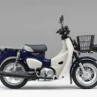 原付免許で運転できる『新基準原付』4車種の価格と発売日が決定!『スーパーカブ110 Lite』『クロスカブ110 Lite』『Dio110 Lite』『スーパーカブ110プロ Lite』が新登場!【Honda2025新車ニュース】