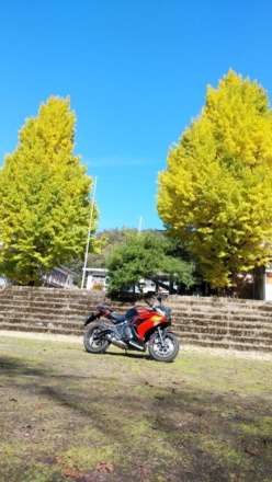 大きな秋　見つけました