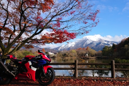 三島池から冬と秋