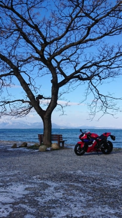 あのベンチほんのり雪景色