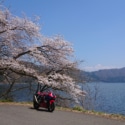 湖畔の桜とバイク