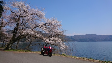 湖畔の桜とバイク
