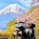 Spring in Japan