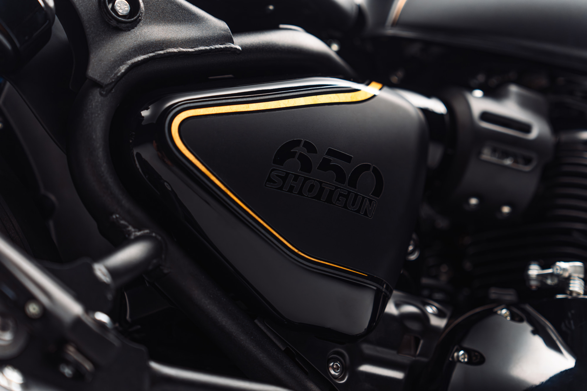 D-5_SHOTGUN650