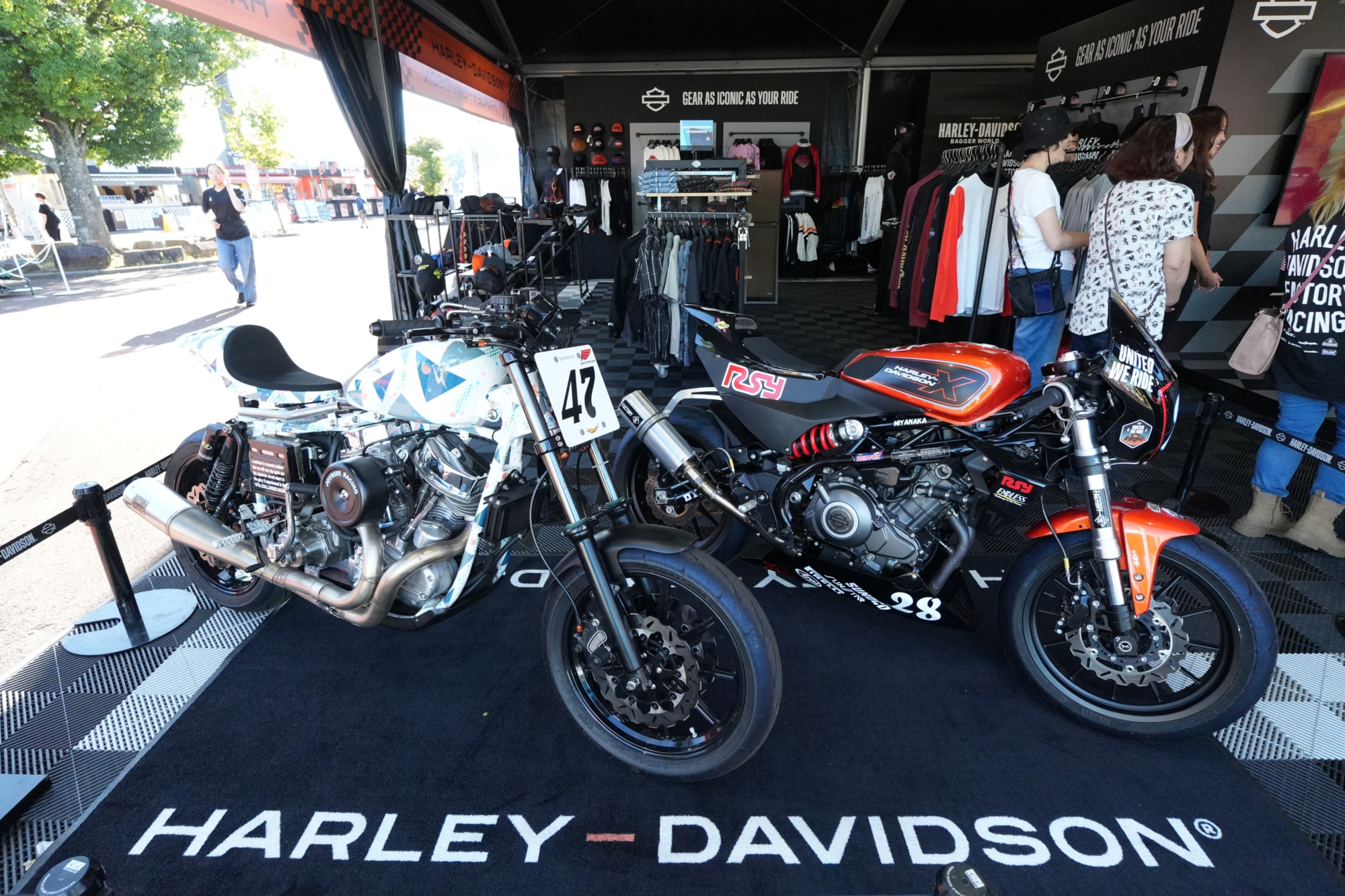 harleydavidson MotoGP