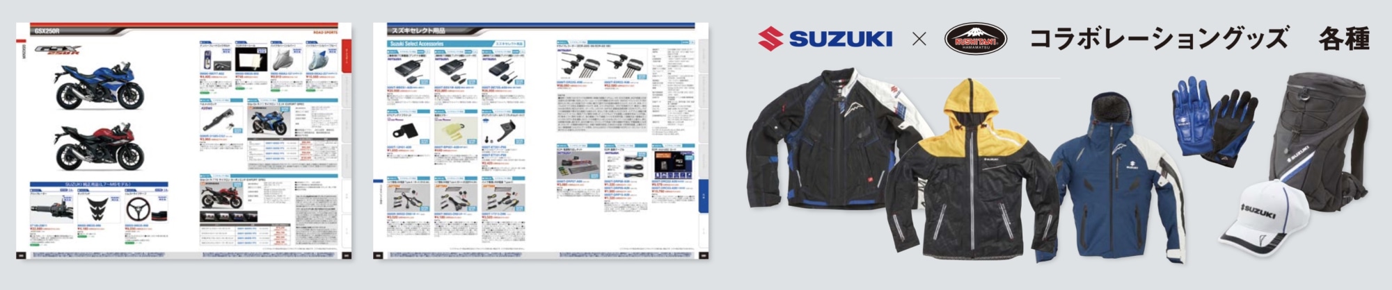 SUZUKI GSX250R